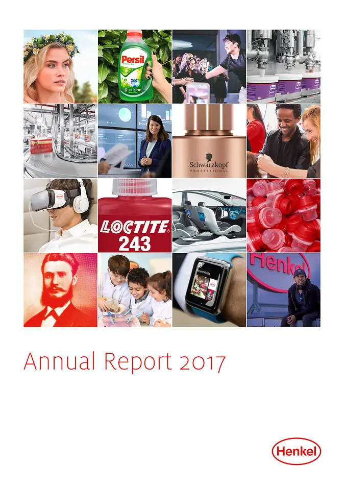 Årsrapport 2017 (Cover)