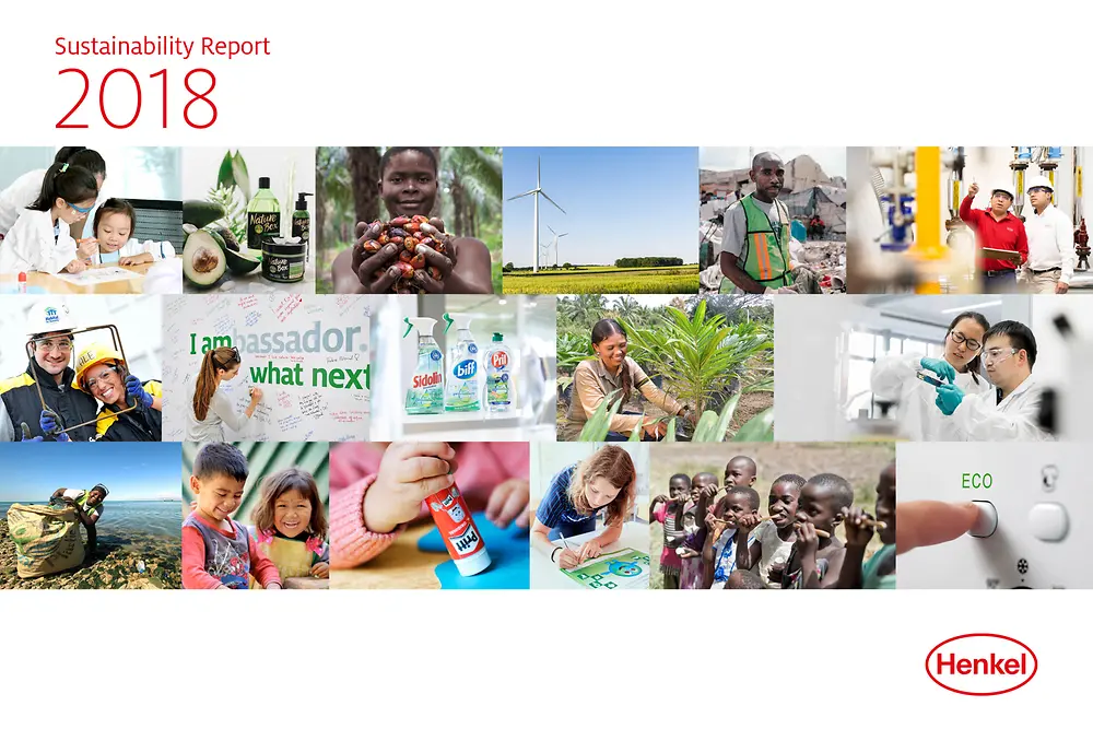 Rapport om holdbar udvikling 2018 (Cover)